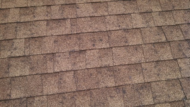 hail_damaged_roof