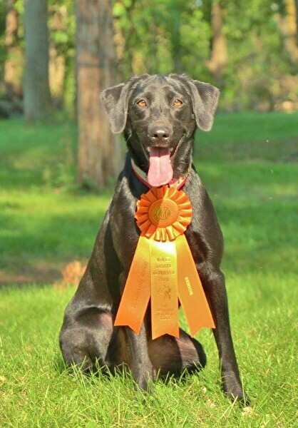 Maggie_copy_418x600