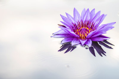 ThinkstockPhotos-485458350