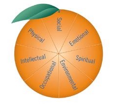 7_dimensions_of_wellness_graphic