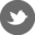 icon_twitter_copy