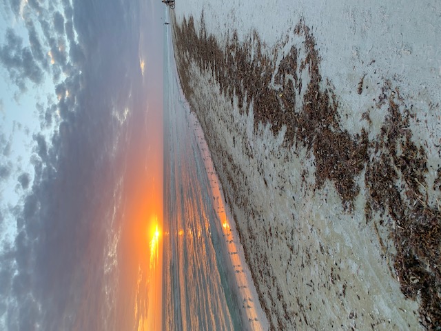 siesta-key-florida-sunset