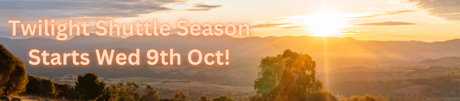 TwilightShuttlesRunner_copy