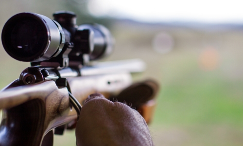 Rifle with scope
