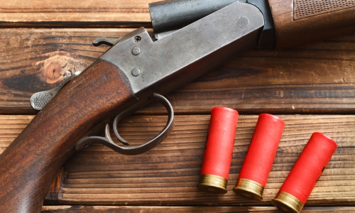 Shotgun with 3 shells