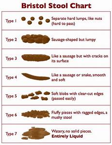 BristolStoolChart_copy1