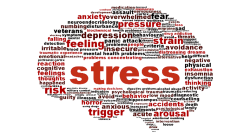 StressBrain