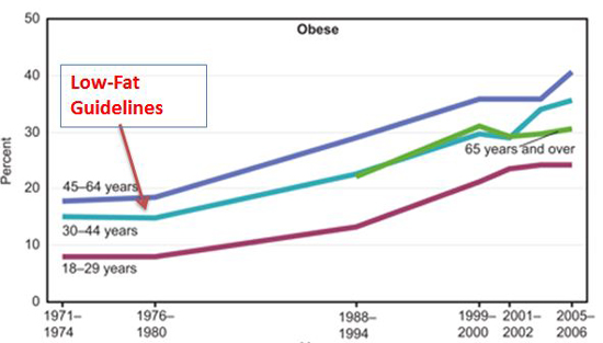 low-fat-guidelines copy