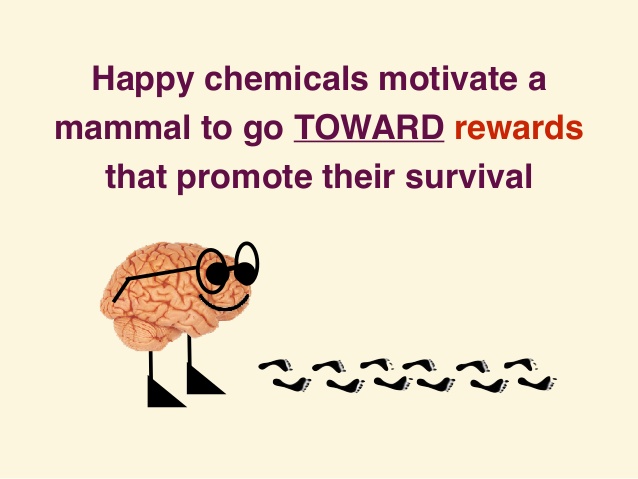 rewire-your-natural-happy-brain-chemicals-dopamine-serotonin-oxytocin-endorphin-10-638