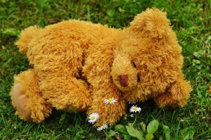 sleeping teddy-bear-792279_1920 pixabay