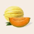 023 melon-2409372__340