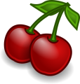 05 cherry-35288__340