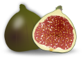 08 fig-42900__340