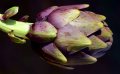 artichoke