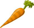 carrot
