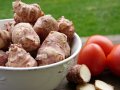 jerusalem-artichoke-2192048__340