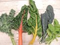 kale-1775809__340