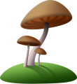 mushrooms-1662959__340