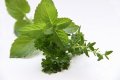 parsley