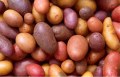 potatoes-522486__340