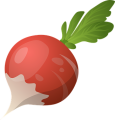 radish_copy