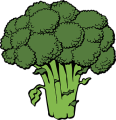 v11 broccoli-40295__340