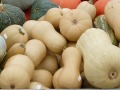 winter squash2