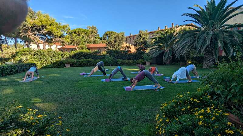 garden class 8 down dog