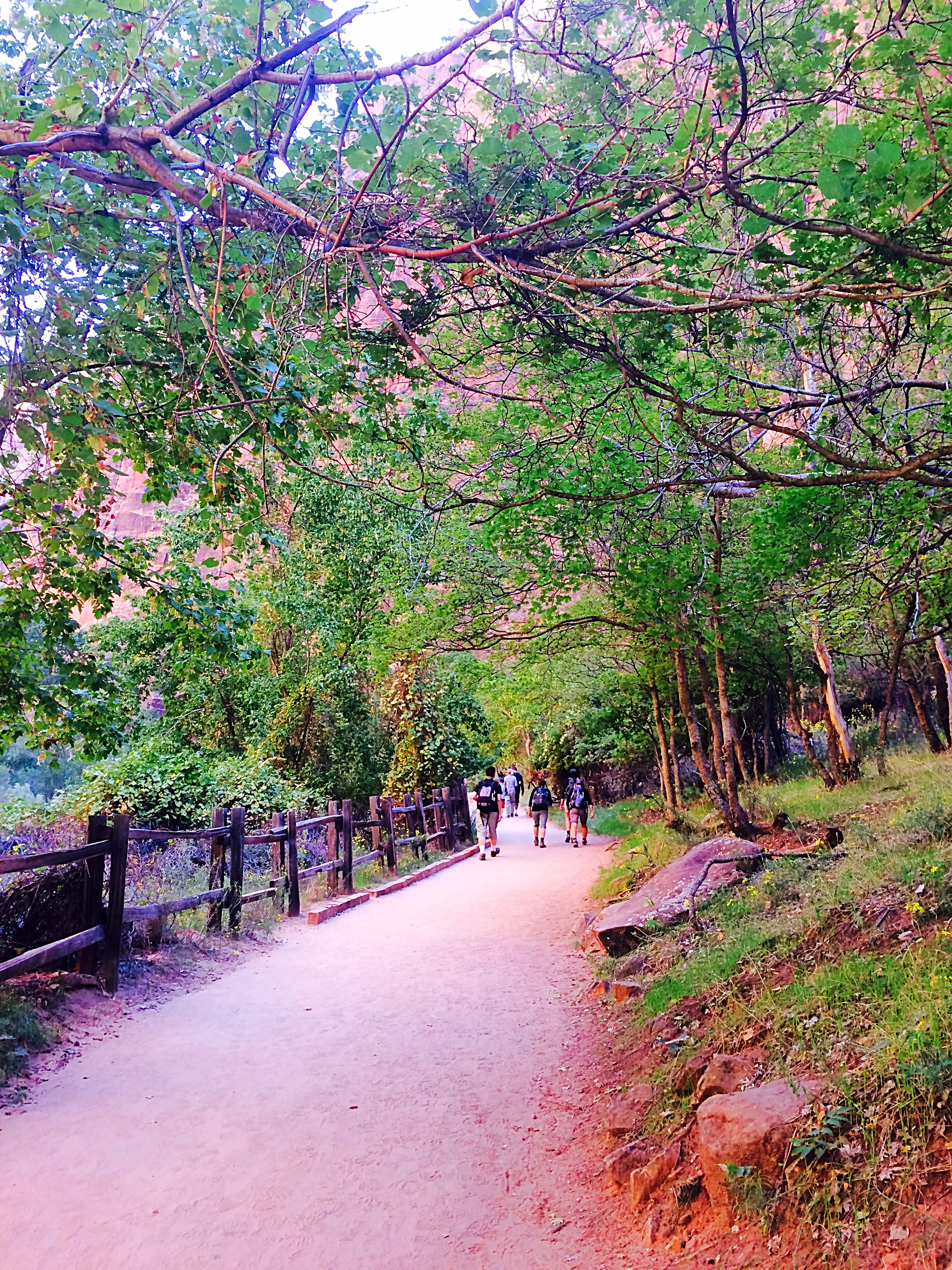 2.7-wyawednesday.zion.road trip