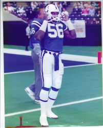colts