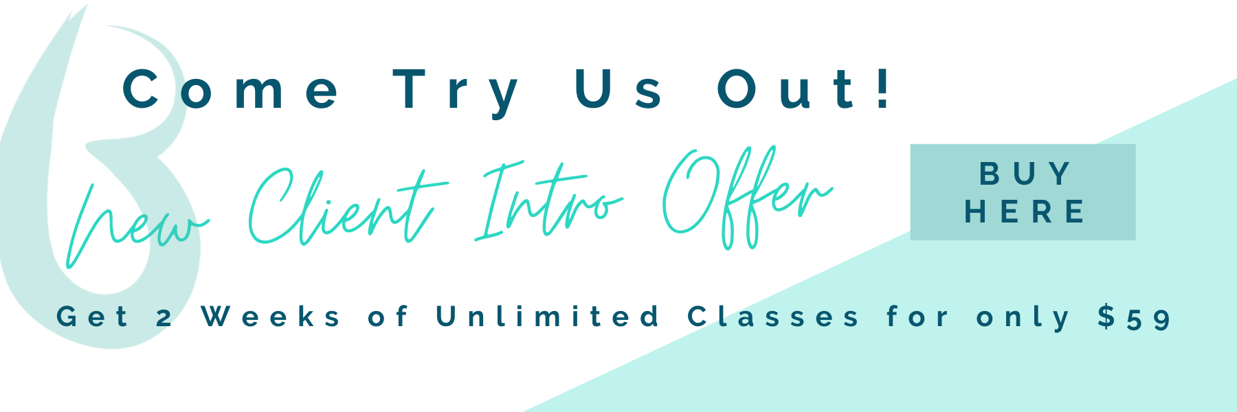 New Client Intro Offer_copy