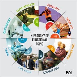heirerarchy of functional aging