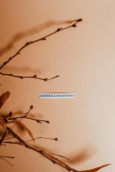 consciousness
