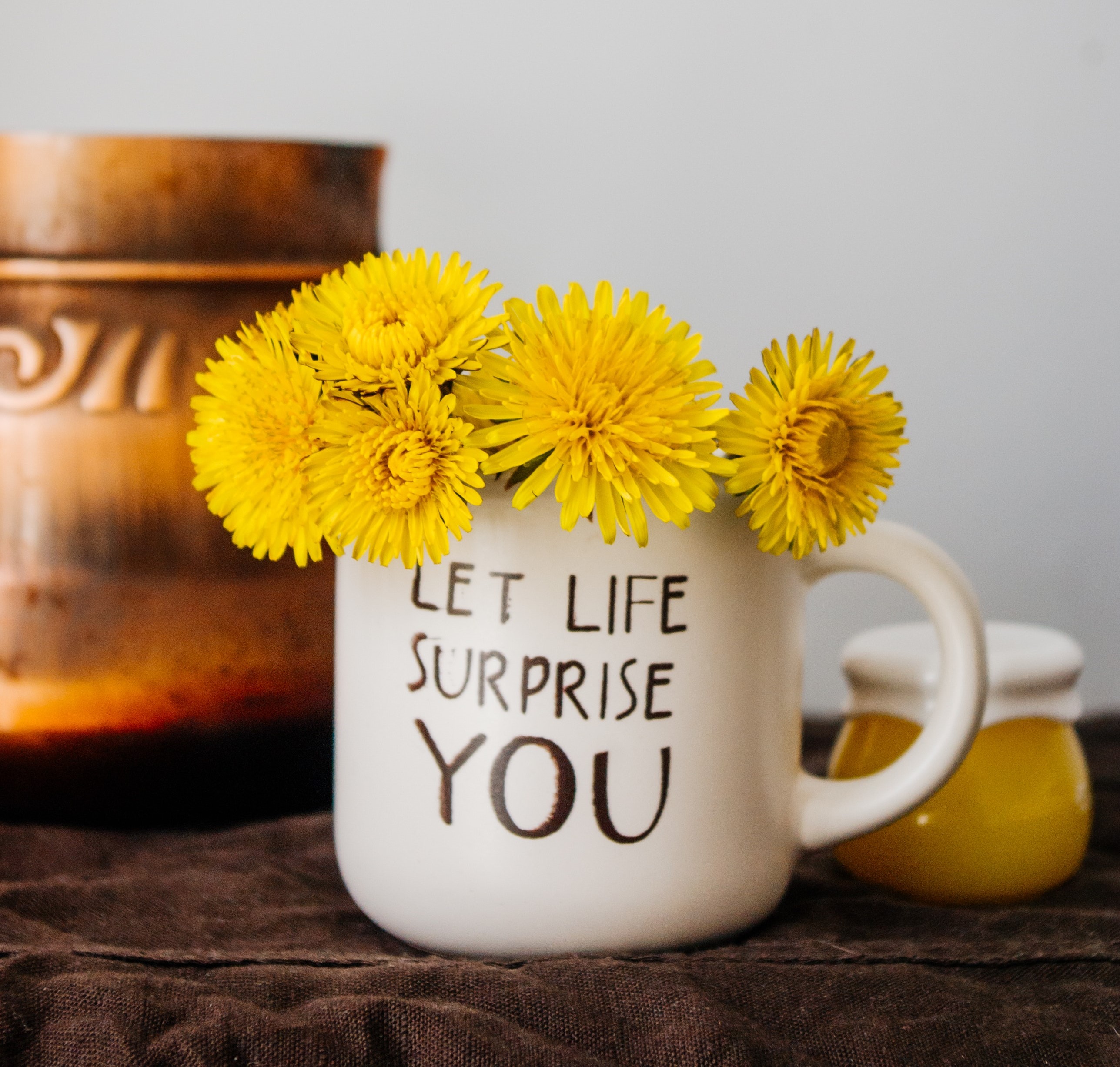 let life surprise you 2