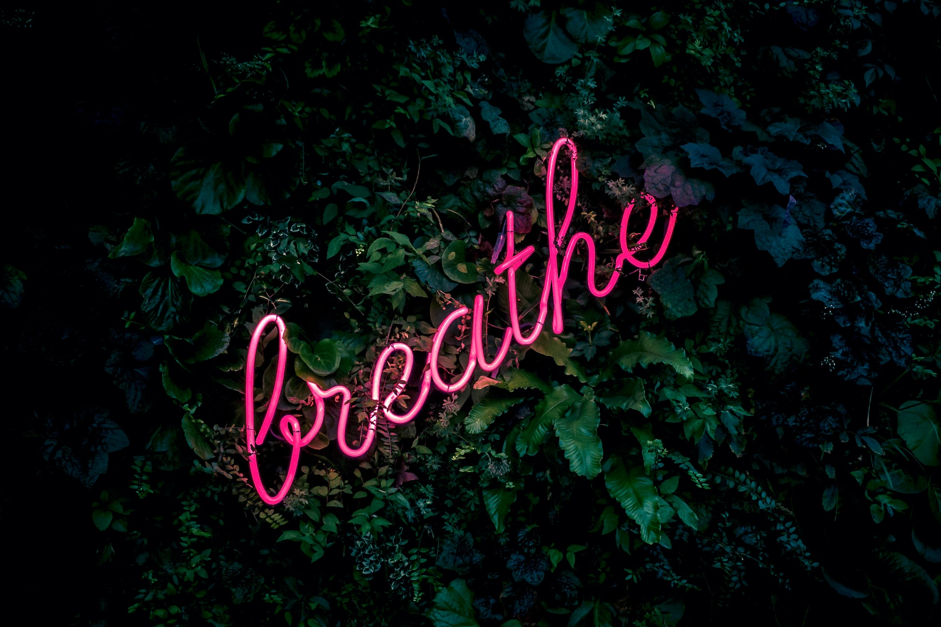 Breathe.fabian-moller-gI7zgb80QWY-unsplash_copy6