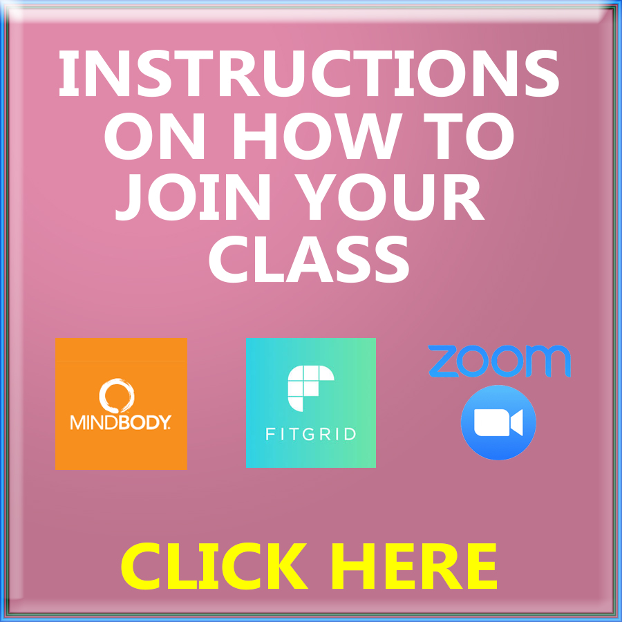 Website Button VIRTUAL CLASS INSTRUCTIONS 2