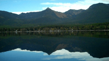 Swan-Lake