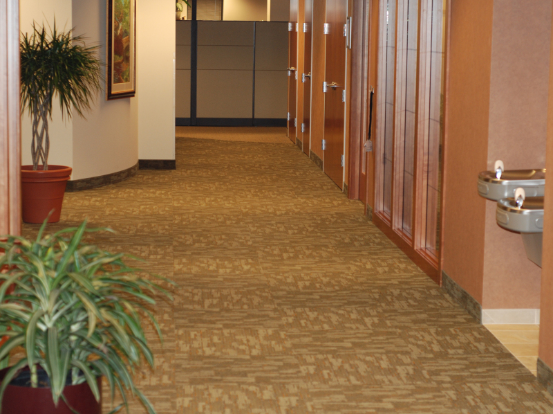 carpeted hallway
