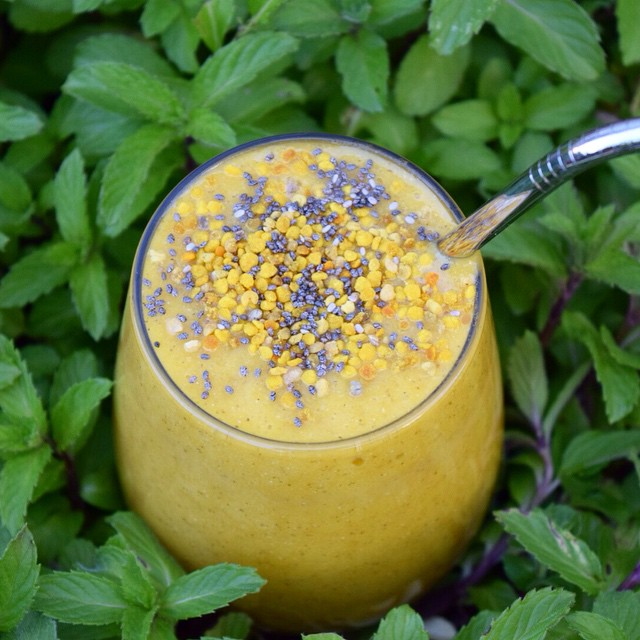 Gut Healing Smoothie*_copy2