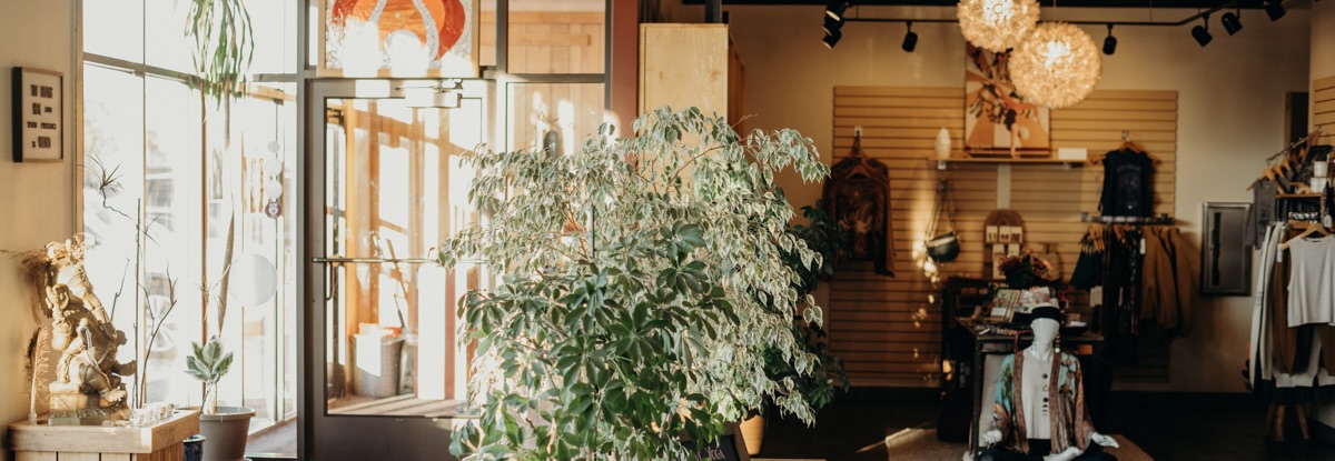 AYC Studio Web Res-062