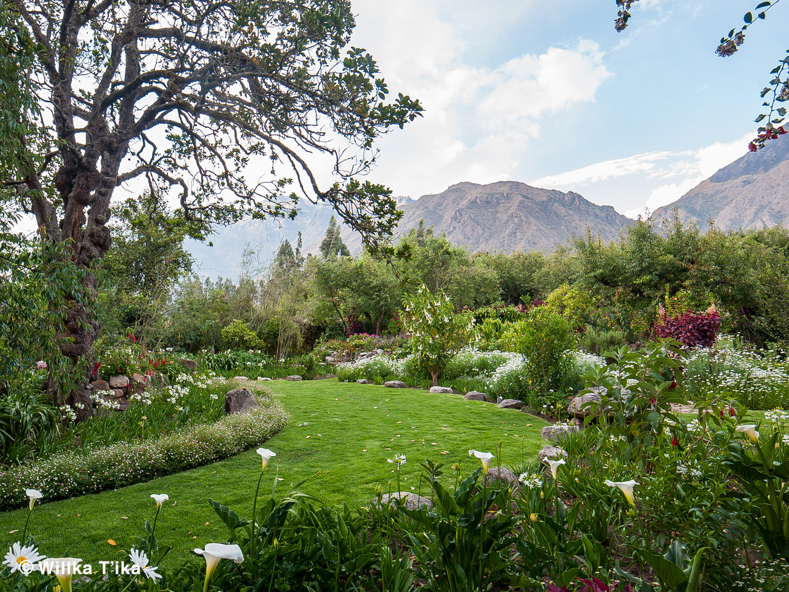 Willka Tika Crown Chakra Garden_copy