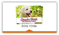 Chuck & Don's Dog Yoga