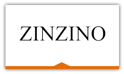 Zinzino