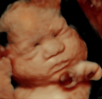 BABY PAIZLEE_34_copy