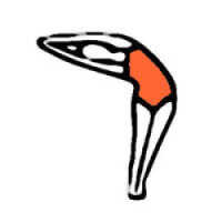 Half Moon Pose with Hands to Feet Pose