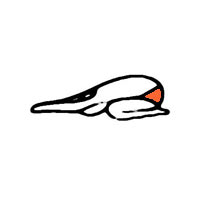 Half Tortoise Pose