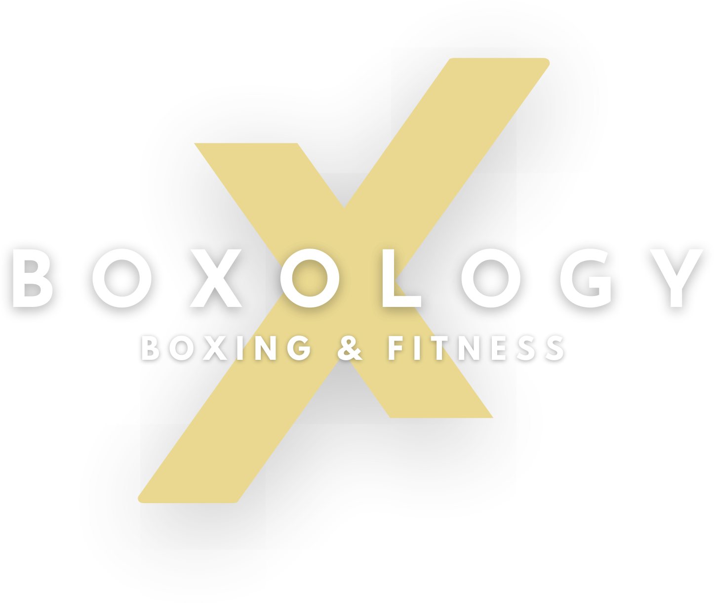 banner-boxology-logo