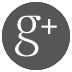 icon-google-gray