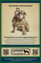 CanineRes - Poster01 - Bootcamp V2