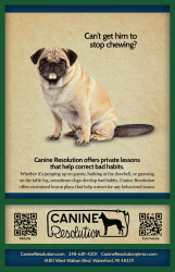 CanineRes - Poster02 - BeaverPug